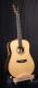 BSG D33 with Rio Rosewood Back and sides USED