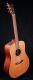Stanford DM Dreadnought Guitar