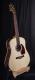 Seagull Maritime SWS Rosewood Dreadnought Acoustic Guitar