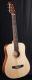 Tonewood KW-612 Travel Guitar