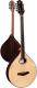 Lewis Deluxe Rosewood Electro Irish Bouzouki with Delux Case