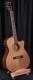 Tonewood Solid Top Electro Acoustic "Live" Bundle