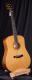 Bedell Performance  TB-17-G Dreadnought Acoustic Guitar