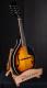 Tonewood Electro Acoustic Mandolin AM-10E