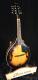 Tonewood AM-20S Solid Top Mandolin