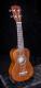 Lani LS-200 Soprano Ukulele in Brown