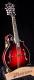 Weber Yellowstone F Style Mandolin